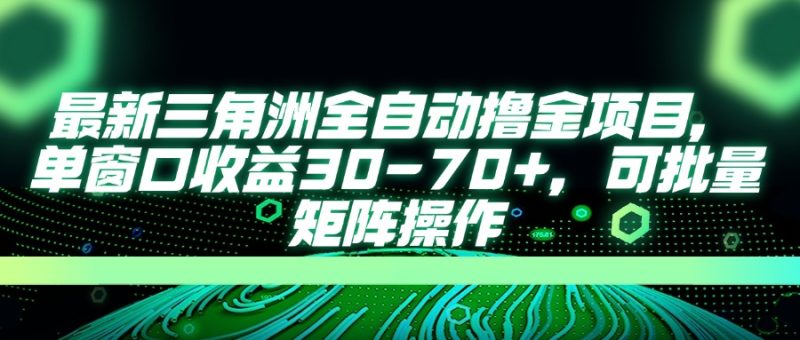 最新三角洲全自动撸金项目，单窗口收益30-70+，可批量矩阵操作祝你网-副业赚钱-互联网创业-资源整合祝你网