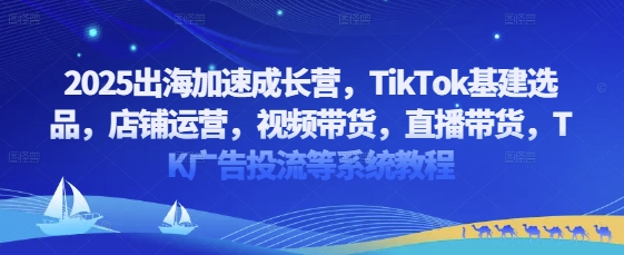 2025出海加速成长营，TikTok基建选品，店铺运营，视频带货，直播带货，TK广告投流等系统教程祝你网-副业赚钱-互联网创业-资源整合祝你网