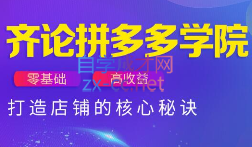 齐论拼多多vip课程祝你网-副业赚钱-互联网创业-资源整合祝你网