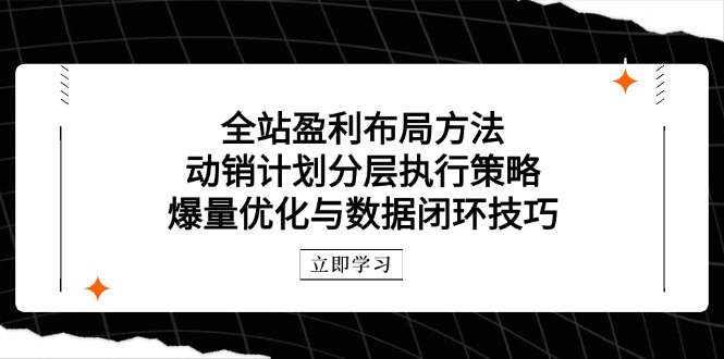 全站盈利布局方法：动销计划分层执行策略，爆量优化与数据闭环技巧祝你网-副业赚钱-互联网创业-资源整合祝你网