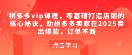 拼多多vip课程，零基础打造店铺的核心秘诀，助拼多多卖家在2025卖出爆款，订单不断祝你网-副业赚钱-互联网创业-资源整合祝你网