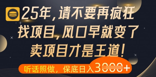 什么？25年你还在疯狂找项目做，醒醒吧，看完这些你全都懂了【揭秘】祝你网-副业赚钱-互联网创业-资源整合祝你网