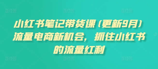 小红书笔记带货课(更新25年4月)流量电商新机会，抓住小红书的流量红利祝你网-副业赚钱-互联网创业-资源整合祝你网