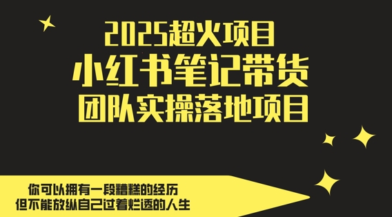 2025超火项目，副业最佳选择，小红书笔记带货团队实操落地项目，轻松日入5张祝你网-副业赚钱-互联网创业-资源整合祝你网