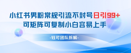 小红书男粉常规引流不封号日引99+变现简单 可矩阵可复制小白容易上手祝你网-副业赚钱-互联网创业-资源整合祝你网