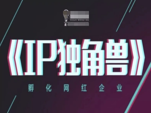 IP独角兽，孵化网红企业，ip教程祝你网-副业赚钱-互联网创业-资源整合祝你网