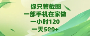 你只管截图，一部手机在家做，苹果安卓都可以，一天5张+祝你网-副业赚钱-互联网创业-资源整合祝你网