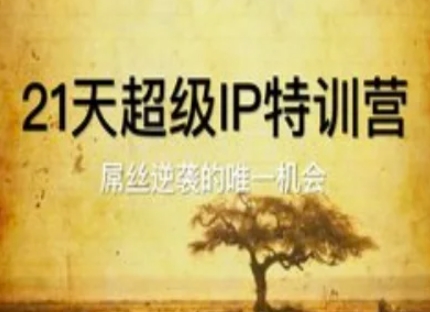 21天超级IP特训营，屌丝逆袭的唯一机会祝你网-副业赚钱-互联网创业-资源整合祝你网