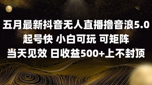 2025五月最新无人直播撸音浪单日产出5张+实操教程祝你网-副业赚钱-互联网创业-资源整合祝你网