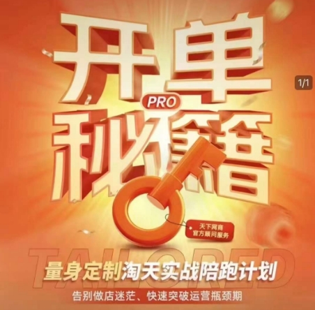 淘宝开单秘籍PRO，量身定制淘天实战陪跑计划，告别做店迷茫、快速突破运营瓶颈期（更新）祝你网-副业赚钱-互联网创业-资源整合祝你网