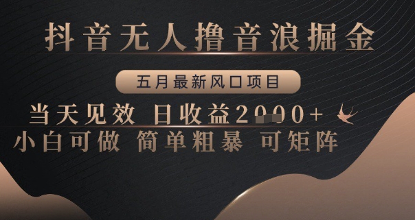 抖音无人撸音浪掘金，五月最新风口项目，当天见效，日收益多张，小白可做简单粗暴可矩阵祝你网-副业赚钱-互联网创业-资源整合祝你网