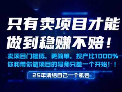 只有卖项目才能做到稳挣不赔，门槛低，更简单，你也可以年入百个W祝你网-副业赚钱-互联网创业-资源整合祝你网