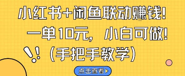 小红书+闲鱼联动挣钱，一单10元，小白可做祝你网-副业赚钱-互联网创业-资源整合祝你网