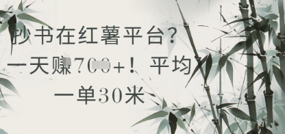 抄书在小红薯平台？平均一单30米，一天收益几张！祝你网-副业赚钱-互联网创业-资源整合祝你网