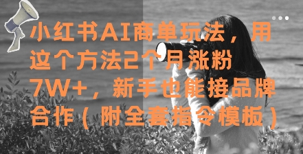小红书AI商单玩法，用这个方法2个月涨粉7W+，新手也能接品牌合作(附全套指令模板)祝你网-副业赚钱-互联网创业-资源整合祝你网