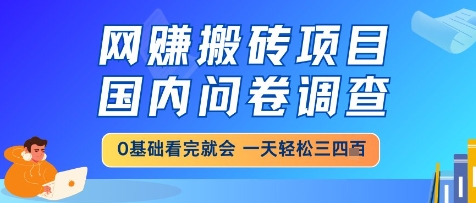 网创搬砖项目，国内问卷调查，小白轻松上手，一天三四张的也不难，干就完了【揭秘】祝你网-副业赚钱-互联网创业-资源整合祝你网