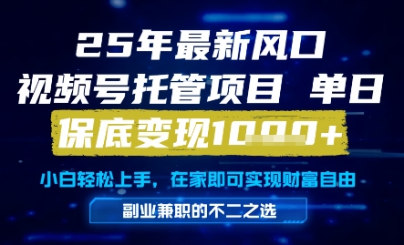 25年最新风口，视频号托管项目，单日保底变现1k+，手把手教学祝你网-副业赚钱-互联网创业-资源整合祝你网