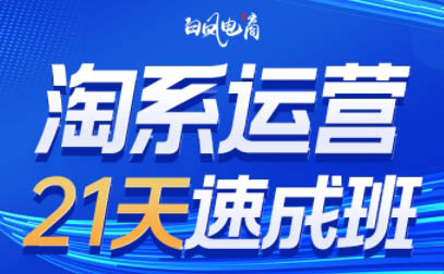 白凤电商·淘系运营21天速成班(更新5月)祝你网-副业赚钱-互联网创业-资源整合祝你网
