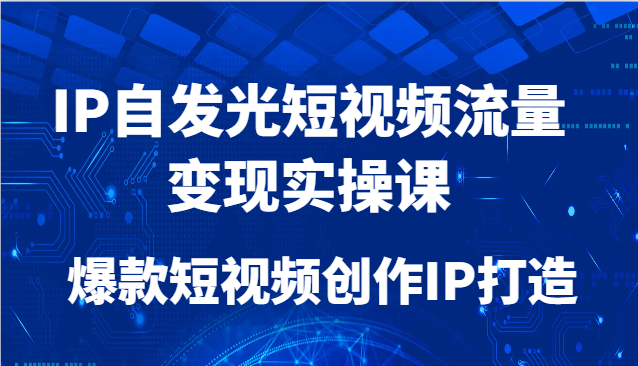 IP自发光短视频流量变现实操课，爆款短视频创作IP打造祝你网-副业赚钱-互联网创业-资源整合祝你网