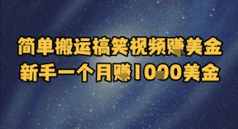 简单搬运搞笑视频挣美金，新手一个月入1k美金祝你网-副业赚钱-互联网创业-资源整合祝你网