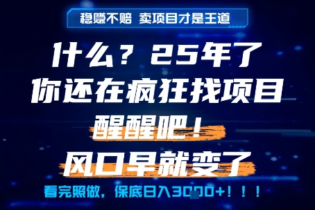 什么？25年你还在疯狂找项目做，醒醒吧，看完这些你全都懂了！【揭秘】祝你网-副业赚钱-互联网创业-资源整合祝你网