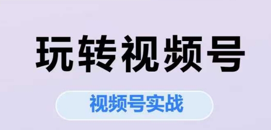玩转视频号，视频号实战系列课祝你网-副业赚钱-互联网创业-资源整合祝你网