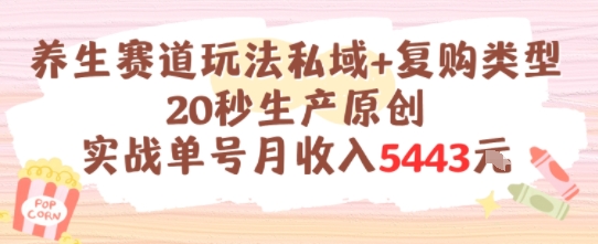 养生赛道玩法私域+复购类型，20秒生产原创实战单号月收入5k+祝你网-副业赚钱-互联网创业-资源整合祝你网