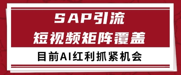小红书某音sap赛道引流获客 自热矩阵日引200+【揭秘】祝你网-副业赚钱-互联网创业-资源整合祝你网