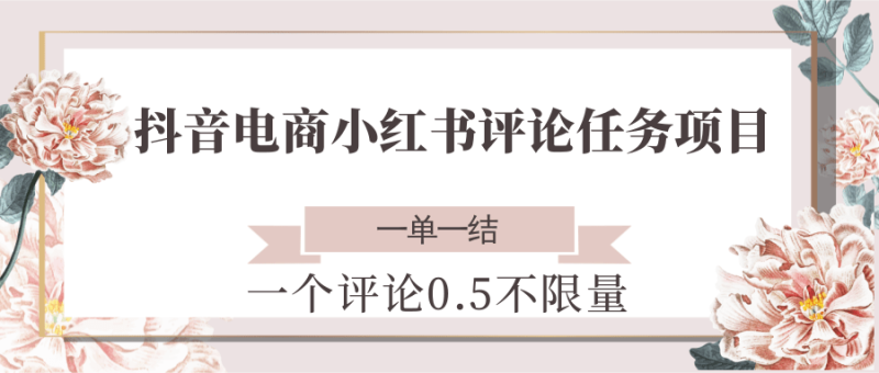抖音电商小红书评论任务项目，一个评论0.5，一单一结 不限量祝你网-副业赚钱-互联网创业-资源整合祝你网