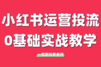 李老师·小红书运营投流，0基础实战教学(更新)祝你网-副业赚钱-互联网创业-资源整合祝你网