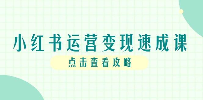 小红书运营变现速成课，账号搭建到暴力起号，个人IP全流程指南祝你网-副业赚钱-互联网创业-资源整合祝你网