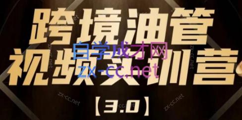 阿蔺Leo·跨境油管视频YouTube实训营(更新2025)祝你网-副业赚钱-互联网创业-资源整合祝你网