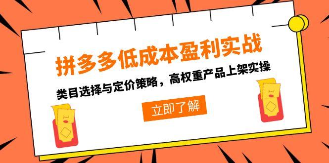 拼多多低成本盈利实战，类目选择与定价策略，高权重产品上架实操祝你网-副业赚钱-互联网创业-资源整合祝你网