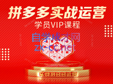 推易电商·拼多多实战运营课(更新2025月)祝你网-副业赚钱-互联网创业-资源整合祝你网