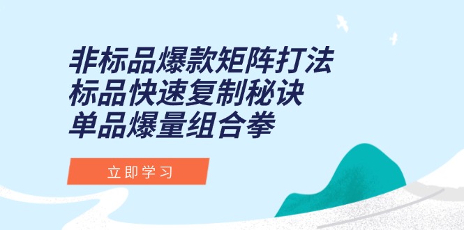 非标品爆款矩阵打法，标品快速复制秘诀，单品爆量组合拳祝你网-副业赚钱-互联网创业-资源整合祝你网