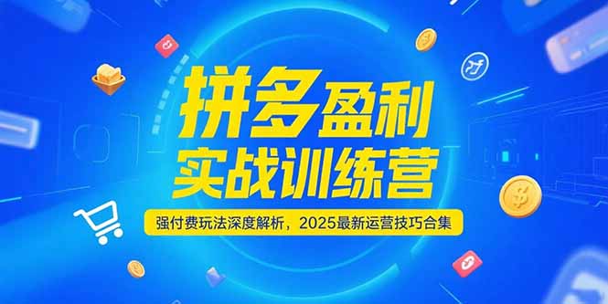 拼多多盈利实战训练营，强付费玩法深度解析，2025运营技巧合集-更新6月祝你网-副业赚钱-互联网创业-资源整合祝你网