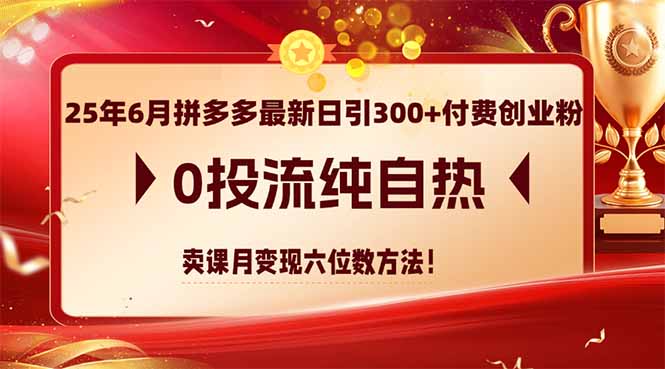 25年6月拼多多最新日引300+付费创业粉，0投流纯自热 卖课月变现六位数方法祝你网-副业赚钱-互联网创业-资源整合祝你网
