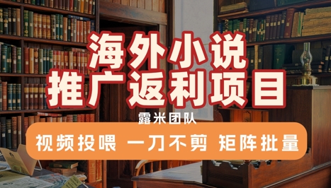海外小说推广返利项目，视频投喂， 一刀不剪，矩阵批量祝你网-副业赚钱-互联网创业-资源整合祝你网