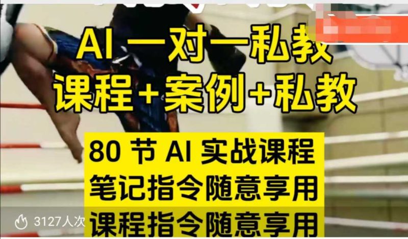 AI指令实战课，课程+案例，80节AI实战课程，笔记指令随意享用，课程指令随意享用（更新7月）祝你网-副业赚钱-互联网创业-资源整合祝你网