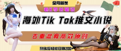 海外tiktok小说推文暴力项目，高停留率，高转化率，上手后一天搞顿饭钱不是问题祝你网-副业赚钱-互联网创业-资源整合祝你网