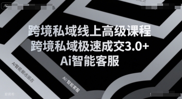 跨境私域线上高级课程，跨境私域极速成交3.0+Ai智能客服祝你网-副业赚钱-互联网创业-资源整合祝你网