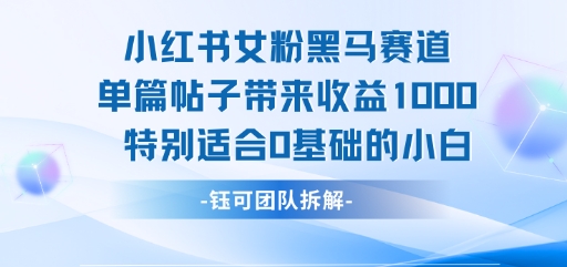 小红书女粉黑马赛道单篇帖子带来收益1k+，特别适合0基础的小白祝你网-副业赚钱-互联网创业-资源整合祝你网