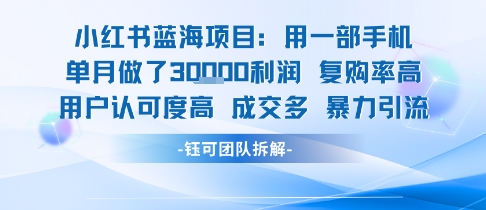小红书蓝海项目，一部手机单月做了3W利润，小白也能月入过1W用户认可度高成交多祝你网-副业赚钱-互联网创业-资源整合祝你网