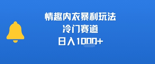 情趣内衣暴利玩法，冷门赛道，日入1k+祝你网-副业赚钱-互联网创业-资源整合祝你网