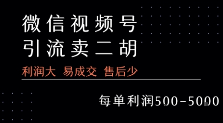 视频号卖二胡教程，利润大 易成交 售后少，一单利润5张+祝你网-副业赚钱-互联网创业-资源整合祝你网