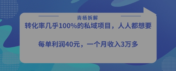 转化率最高的私域项目，每单利润40-50米，月入过1w祝你网-副业赚钱-互联网创业-资源整合祝你网