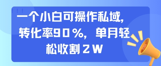 一个小白可操作私域，转化率90%，单月轻松收割2W祝你网-副业赚钱-互联网创业-资源整合祝你网