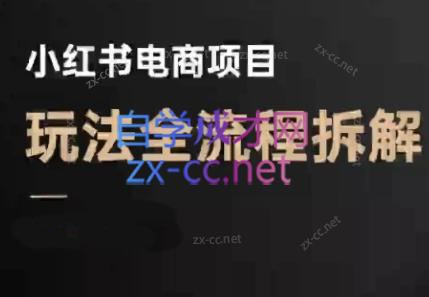 菲菲老师·小红书电商玩法(更新7月)祝你网-副业赚钱-互联网创业-资源整合祝你网