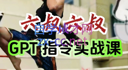 六叔的AI指令实战课(更新7月)祝你网-副业赚钱-互联网创业-资源整合祝你网