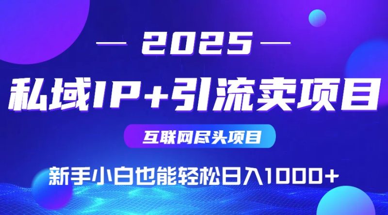 2025网创尽头项目，私域IP+引流，新手小白也能在家日入1000+祝你网-副业赚钱-互联网创业-资源整合祝你网
